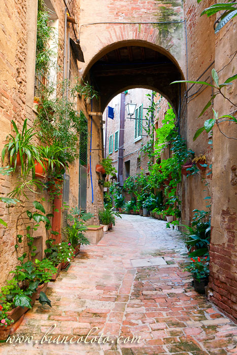 Vicolo degli Orefici. 