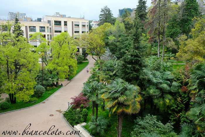 Ресорт Сочи Камелия