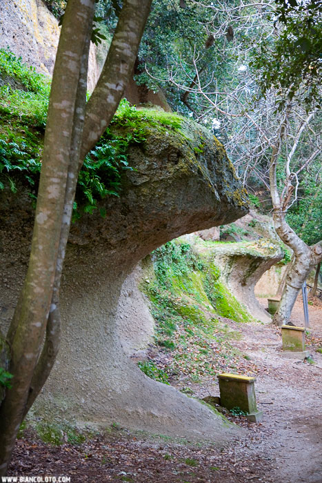 Некрополь этрусков, Сована