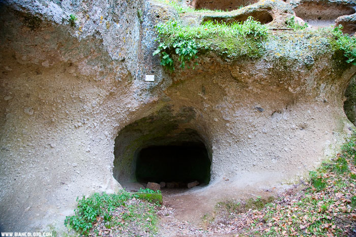 Некрополь этрусков, Сована