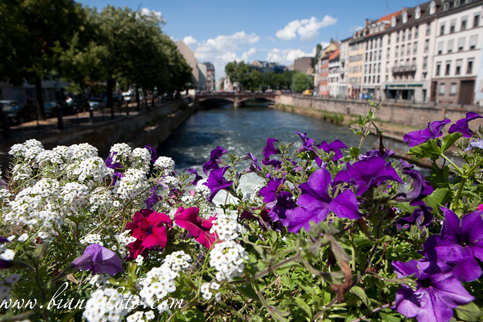 Вид с моста. Страсбург
