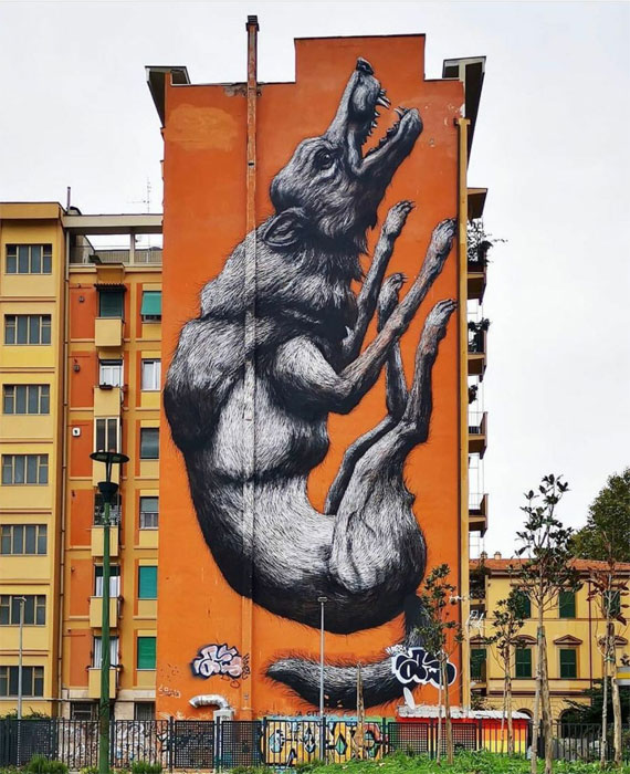 ROA