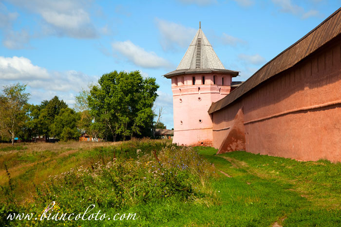 Спасо-Евфимиев монастырь.  