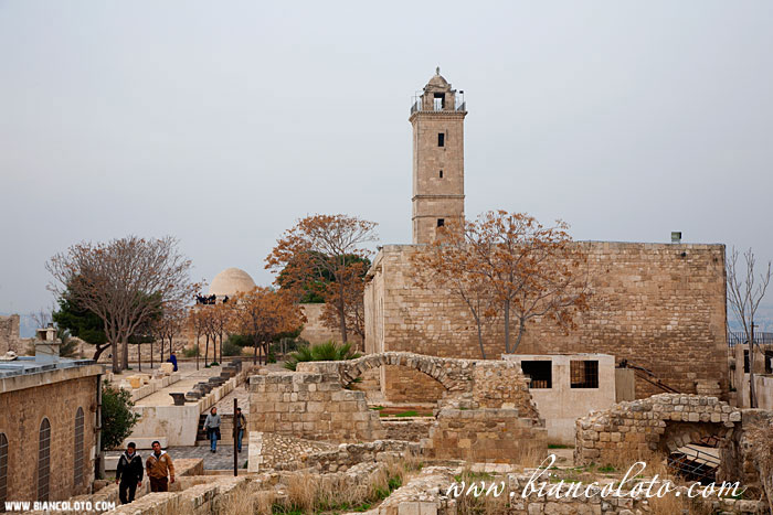 Алеппо, Сирия 