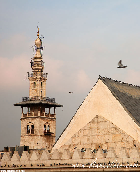 Мечеть Омейядов. Дамаск. Сирия.