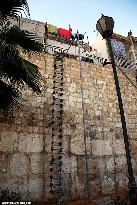 Дамаск. Сирия.