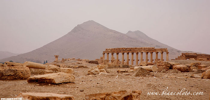 Пальмира. Сирия.