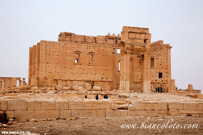 Пальмира. Сирия.
