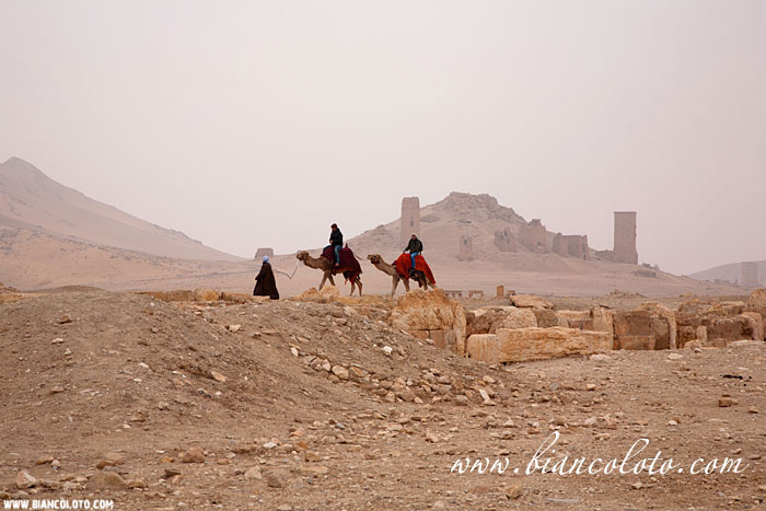 Пальмира. Сирия.