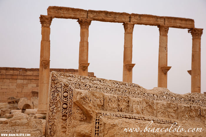 Пальмира. Сирия.