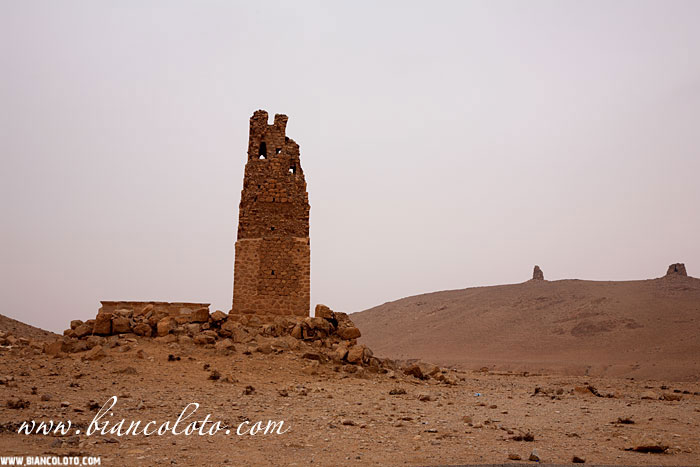 Долина гробниц. Пальмира. Сирия.