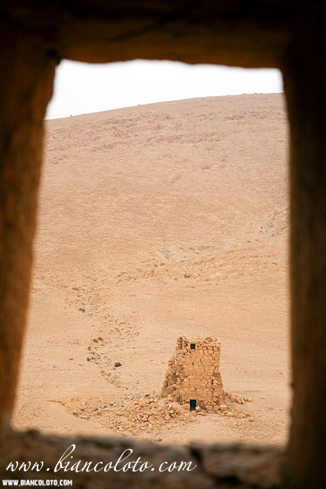 Долина гробниц. Пальмира. Сирия.