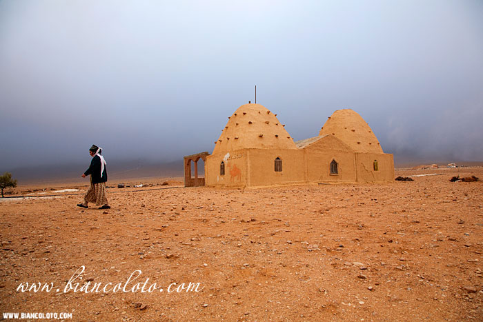 Пальмира. Сирия.