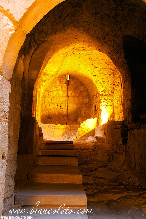 Пальмира. Сирия.