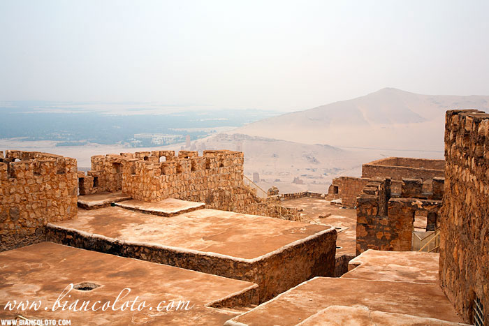 Цитадель. Пальмира. Сирия.