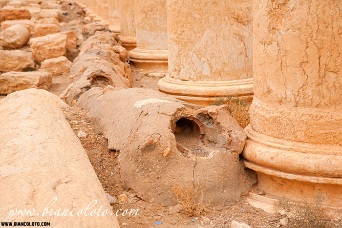 Пальмира. Сирия.