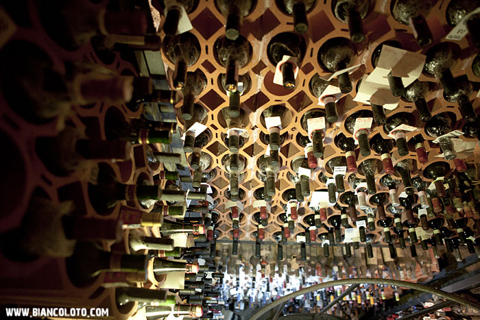 Ресторан-винотека. Террачина