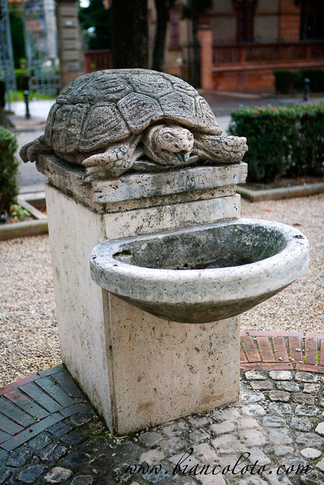 Городской фонтан. Толентино