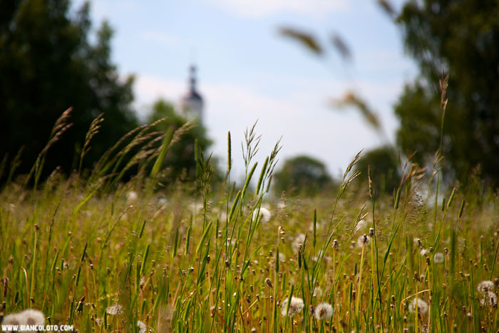 Толгский монастырь