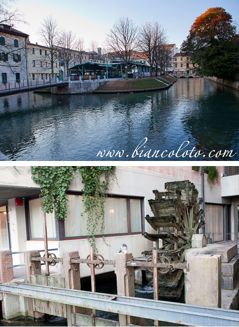 Рыбный остров и колеса рядом с ним