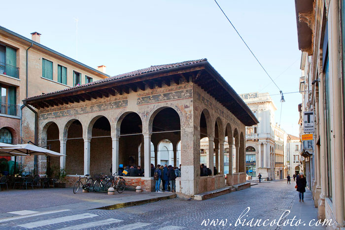 лоджия Кавалеров 