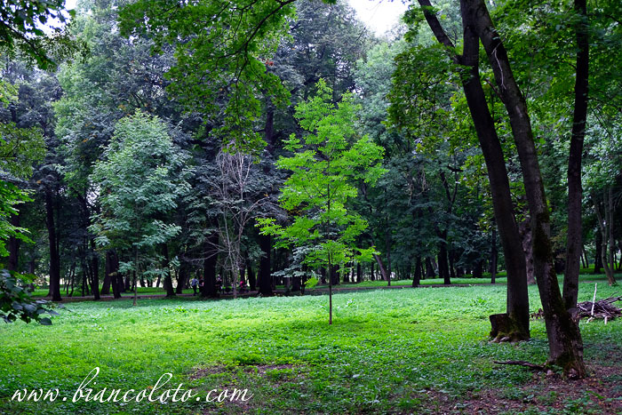 Богородицкий парк. Тульская область