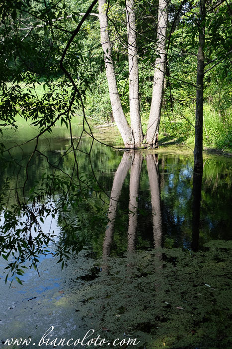 Усадьба Андрея Тимофеевича Болотова