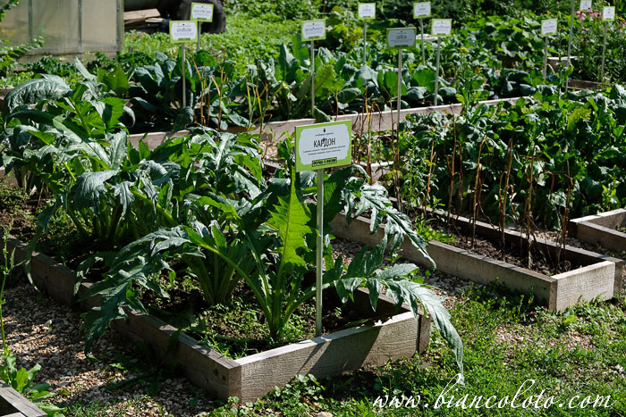 Усадьба Андрея Тимофеевича Болотова