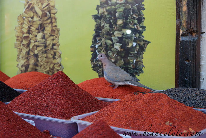 Красный перец  