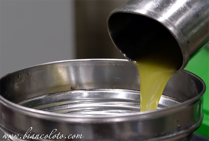 Оливковое масло в Турции