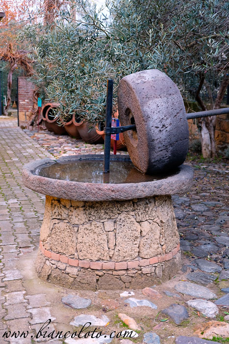 Оливковое масло 