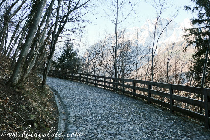 Валькамоника