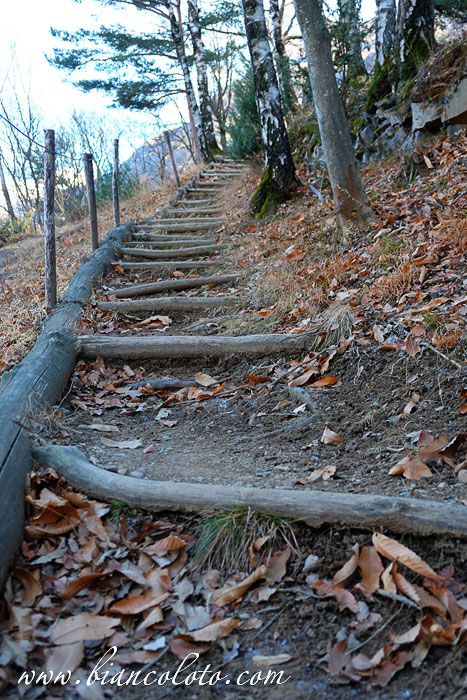 Национальный парк наскальной живописи Naquane