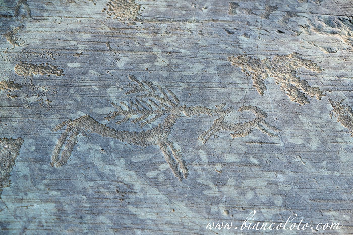 Наскальная живопись в Валькамонике (Valcamonica)