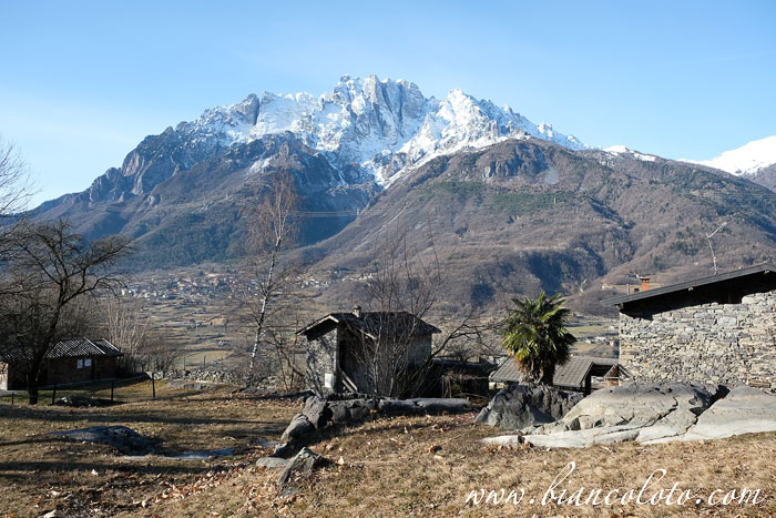 Валькамоника