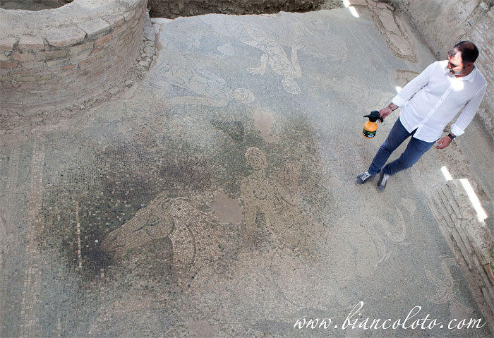 Римская вилла Казиньяна 