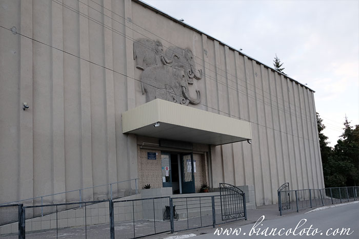 Музей в Костёнках