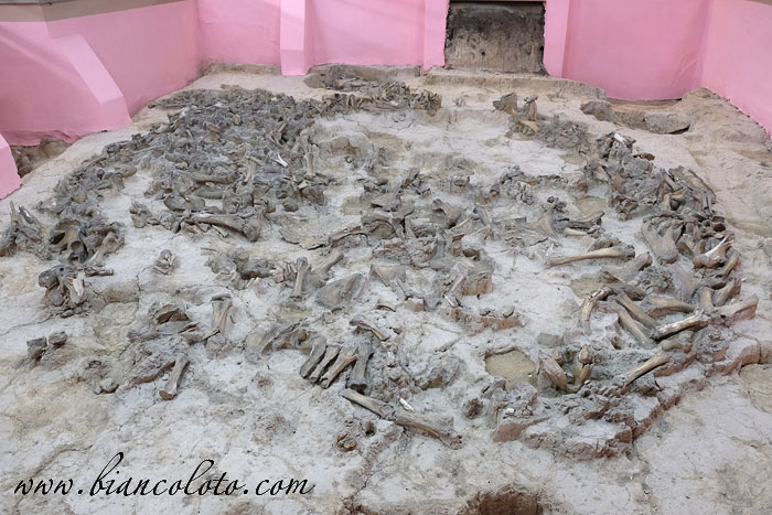 Жилище из костей. Костёнки