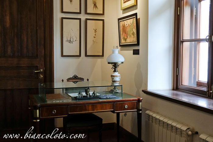 Дворец Ольденбургских. Рамонь