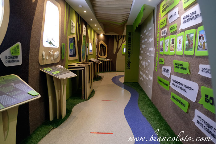 Бобронариум