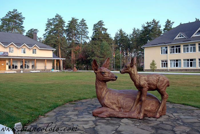 Воронежский биосферный заповедник