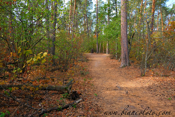 Воронежский биосферный заповедник