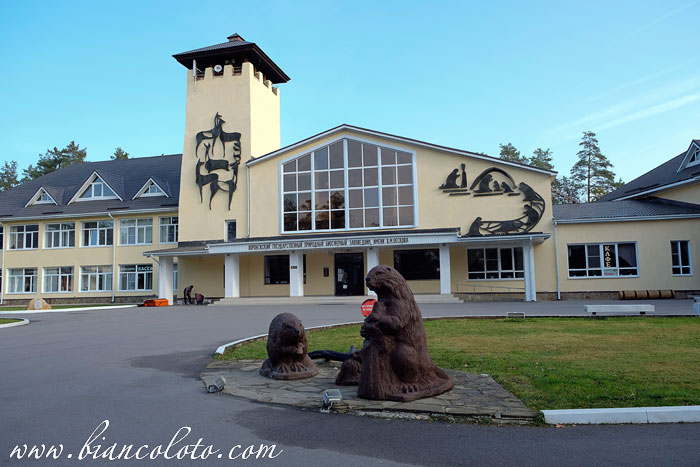 Воронежский Биосферный заповедник и питомник бобров