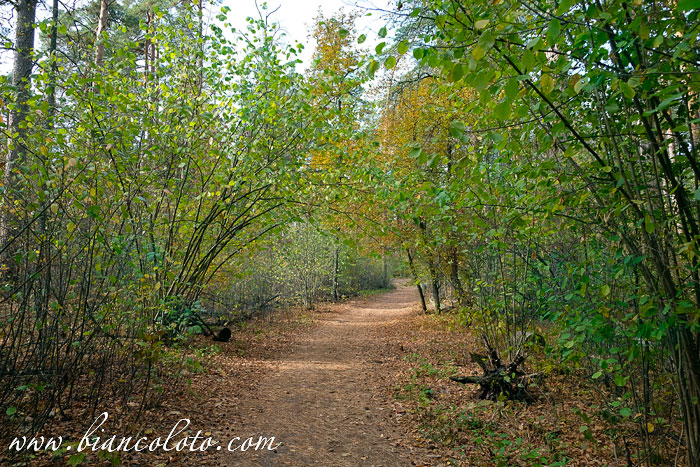 Воронежский Биосферный заповедник