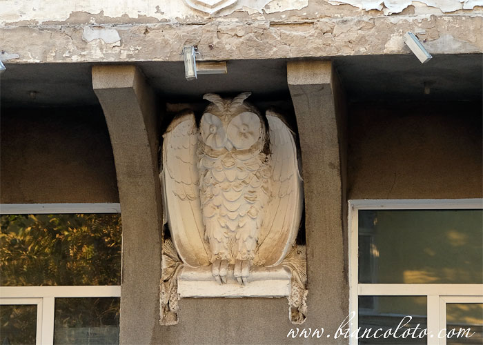 Дом с совой. Воронеж