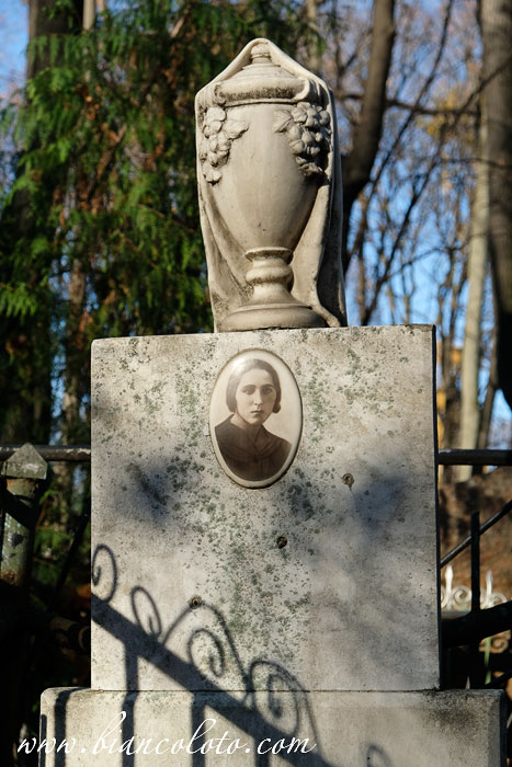 Введенское немецкое кладбище в Москве