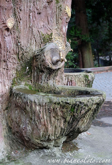 Термальные источники  Ялова