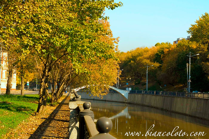 Таможенный мост